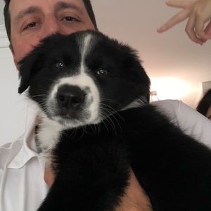 Meet your Posher, Pat